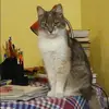 Отзыв от Венера Потапова